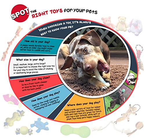 Spot Bam-bone Wish Bone 5.25"-Chicken