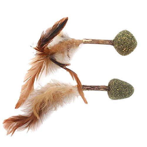sprwater 2 Piezas Juguete Interactivo Con Hierba Gatera Para Gatos Juguete Interactivo De Plumas Limpieza De Dientes Molares Juguete Interactivo De Plumas Suaves Para Gatitos, Gatos De perfect choice