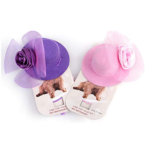 Strimm Pet - Gorro de caballero europeo para mascotas