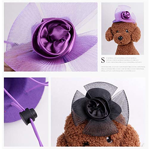 Strimm Pet - Gorro de caballero europeo para mascotas