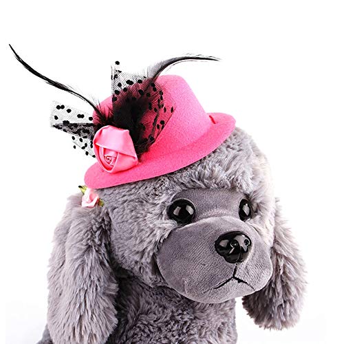 Strimm Pet - Gorro de caballero europeo para mascotas