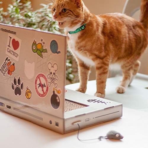 SUCK UK SK CATTOP1 Ordenador Rayable para Gatos, Multicolour