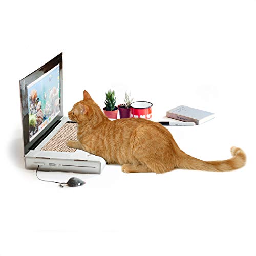 SUCK UK SK CATTOP1 Ordenador Rayable para Gatos, Multicolour