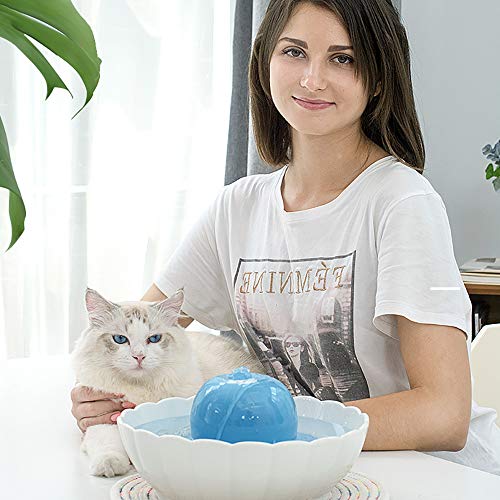 SUNASQ Dispensador de Agua de cerámica para Mascotas, alimentador de Agua de circulación automática, Sistema de filtración de circulación de Fuente de Agua Ultra silenciosa para Perro, Gato, Mascota.