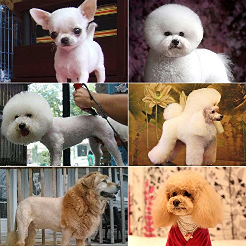 SURKER Cortapelos Perro Cortadora de pelo profesional para perros maquina para cortar pelo de perros Para Mascota Gato ,verde
