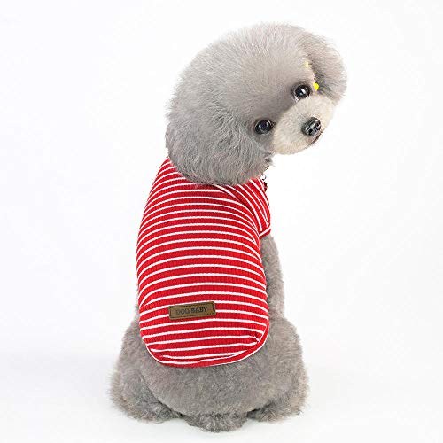 SYQY Primavera y Verano Ropa para Perros Ropa para Perros Chaleco de Cinco Colores-Escarlata_XXL