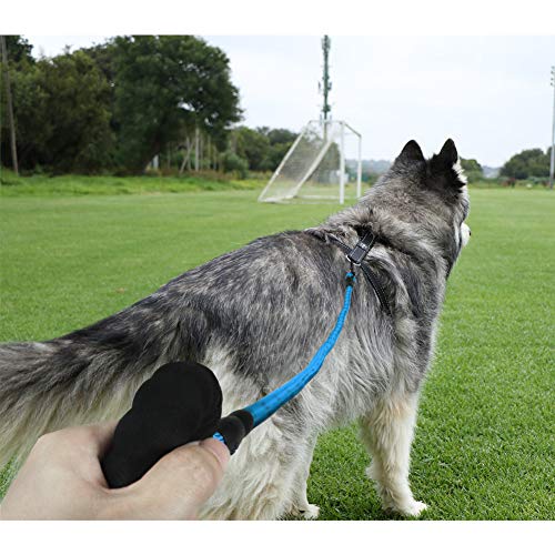 Taglory Correa de Perro, 1,5 m Correa de Fuerte de Perro para Perros Medianos y Grandes con Mango Acolchado Suave y Hilos Reflectantes, Azul