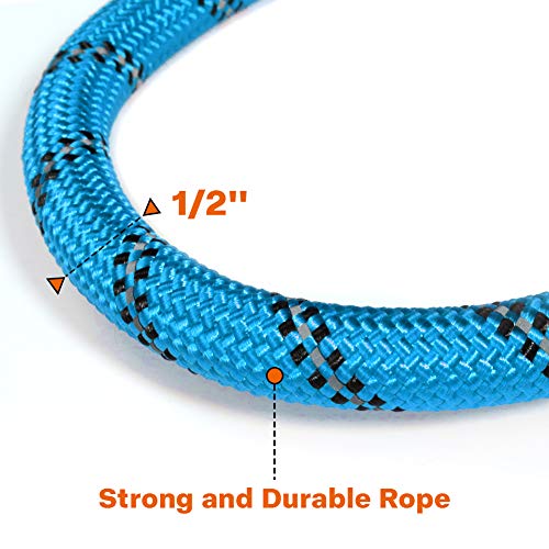 Taglory Correa de Perro, 1,5 m Correa de Fuerte de Perro para Perros Medianos y Grandes con Mango Acolchado Suave y Hilos Reflectantes, Azul