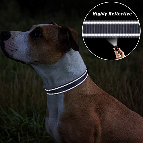 TagME Collar Perro Ajustable,Collar Nylon Reflectante,para Caminar Correr Entrenamiento,para Perros Extrapequeños,Gris,1.5cm De Ancho