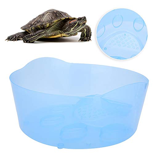 Tanque ecológico de tortuga Tanque de gato grande Diseño Cilindro de plástico transparente Caja de cría de tortuga trepadora Acuario Reptil Estuche con plataforma de descanso Crianza de tortuga brasil