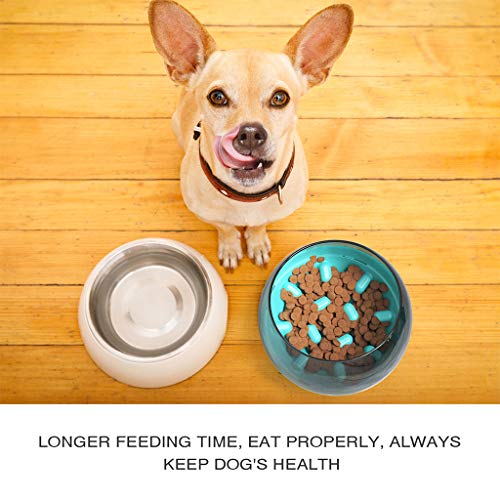 Taza de fondo redondo Antideslizante Cuenco interactivo para perros Fun Maze Alimentador automático lento, Respetuoso con el medio ambiente, Duradero, Adecuado para alimentos húmedos o secos, Para tod
