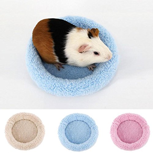 Tenlacum New Guinea Pig - Colchoneta de Invierno para Mascotas (tamaño pequeño), diseño de Erizo, Color Crema