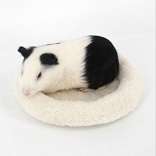 Tenlacum New Guinea Pig - Colchoneta de Invierno para Mascotas (tamaño pequeño), diseño de Erizo, Color Crema