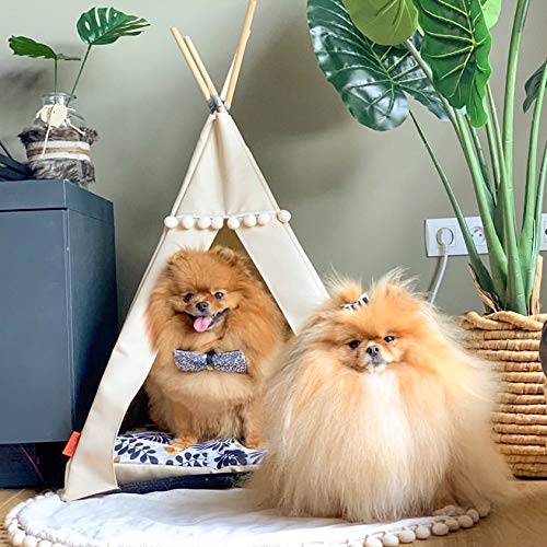Tienda de campaña para gatos y perros. Cama tipi blanca y negra Glamour. Cama de lujo para gatos y perros, casa para mascotas (M, beige, hojas).