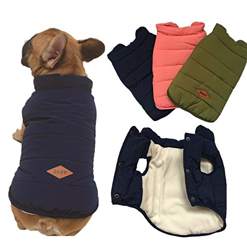 Tineer con Capucha Linda Chaqueta de la Capa del Animal doméstico del Perro de Perrito Ropa de Invierno Bulldog francés con Capucha Caliente Juego del Chaleco (M, Azul)