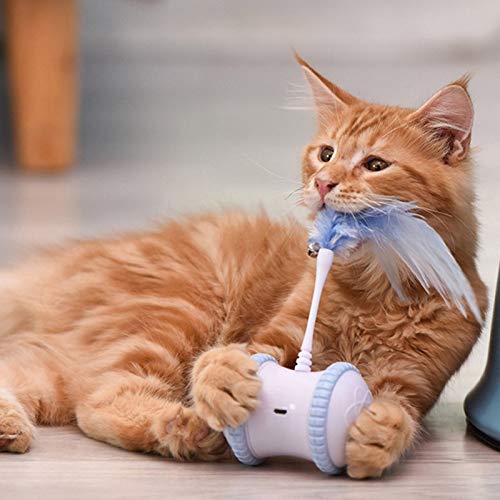 TongYu Juguete para Gatos Gato Eléctrico Gato Divertido Palo Pluma Inteligente Equilibrio Eléctrico Coche Interesante Juego Interactivo 20 * 8.5 * 6.2cm / Rosa