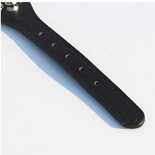 TOSSPER 11-13" Collar de Cuero con Pinchos Perro Tachonado de 7/8" de Ancho para Razas pequeñas/x-pequeño y Cachorros (Negro, L: 11-13" para el Cuello)