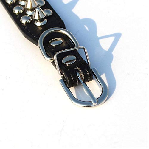 TOSSPER 11-13" Collar de Cuero con Pinchos Perro Tachonado de 7/8" de Ancho para Razas pequeñas/x-pequeño y Cachorros (Negro, L: 11-13" para el Cuello)
