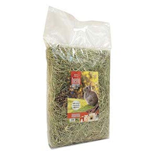 TRIXDER ESPECIALIDADES Heno con Algarroba, HENO GOURMET, 500 g, Pequeños Mamíferos