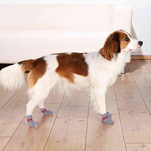 TRIXIE 2 Calcetines Perro, Antideslizante, M-L, Gris, Perro
