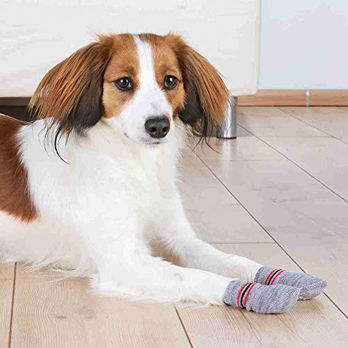 TRIXIE 2 Calcetines Perro, Antideslizante, S-M, Gris, Perro