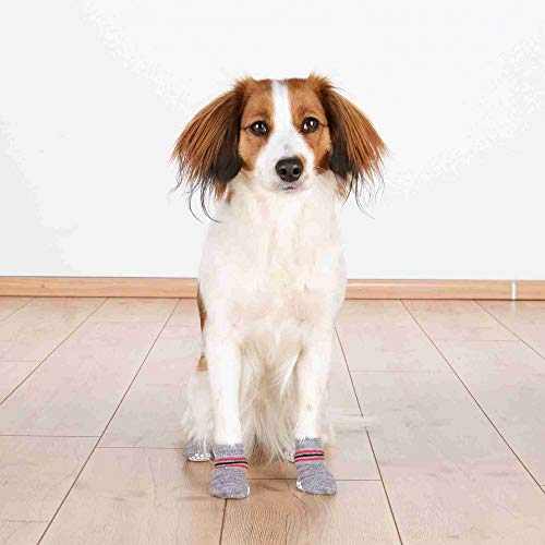 TRIXIE 2 Calcetines Perro, Antideslizante, S-M, Gris, Perro