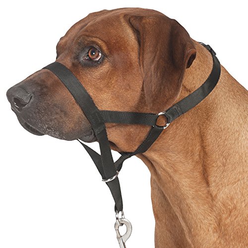 TRIXIE Arnés-Bozal Guía Top Trainer L, 31 cm, Perro