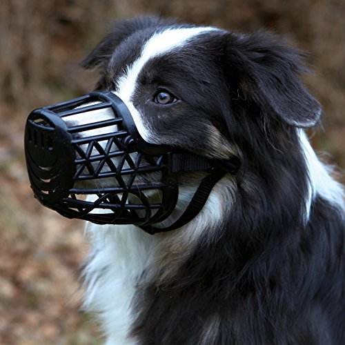 TRIXIE Bozal plástico, Cintas ajuste Nylon, L, 26 cm, Negro, Perro