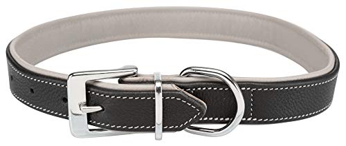 TRIXIE Collar Active Comfort, L–XL: 52–63cm/35mm, Negro/Gris, Perro