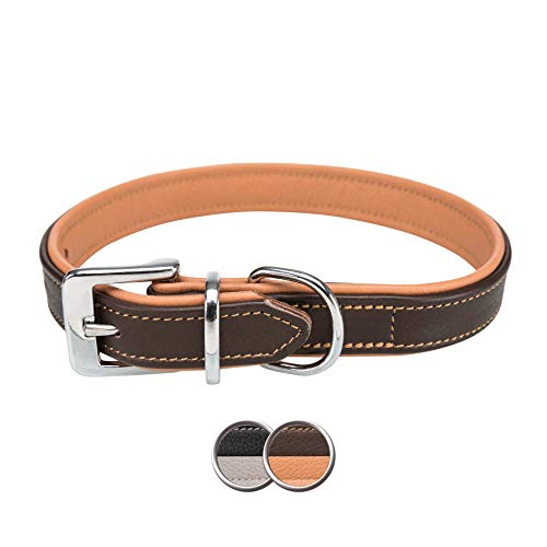 TRIXIE Collar Active Comfort, S: 31–37cm/25mm, Marrón/Marrón Claro, Perro
