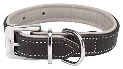 TRIXIE Collar Active Comfort, XS–S: 21–32cm/25mm, Negro/Gris, Perro