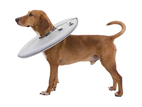 TRIXIE Collar Veterinario, L-XL: 53-56cm/27cm, Gris, Perro