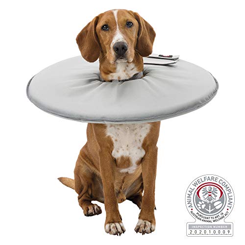 TRIXIE Collar Veterinario, L-XL: 53-56cm/27cm, Gris, Perro