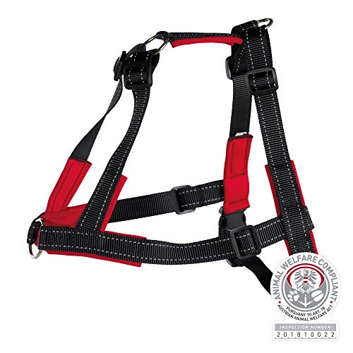 Trixie Lead'n'Walk - Collar con arnés para pequeño Animal (Talla M-L)