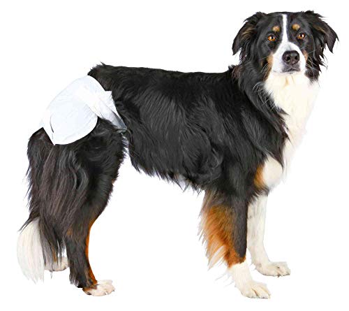 Trixie Pañales (pañales) para Perros, L, 12 pcs