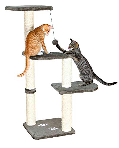 TRIXIE Poste Rascador Altea, 117 cm, Gris platino, Gato
