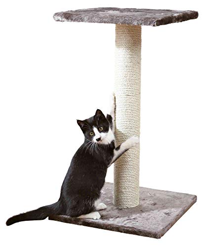 Trixie Poste Rascador Espejo, 69 cm, Gris Platino