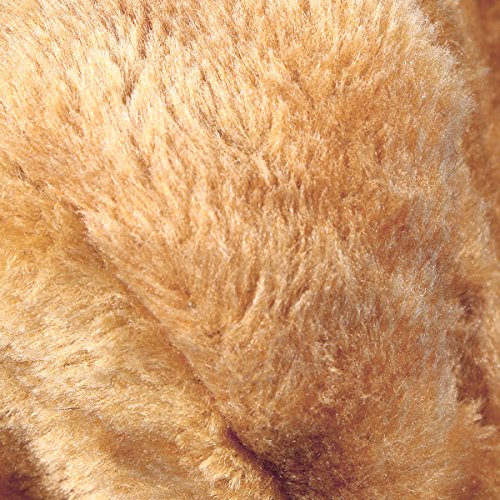 UEETEK Mascota Disfraz León Melena Peluca Leon para Gato Perro Pequeño Ajustable Negro