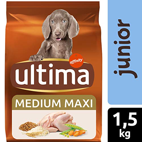 Ultima Pienso para Perros Medium-Maxi Junior con Pollo y Arroz - 1,5 kg