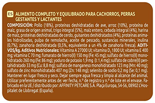 Ultima Pienso para Perros Medium-Maxi Junior con Pollo y Arroz - 1,5 kg