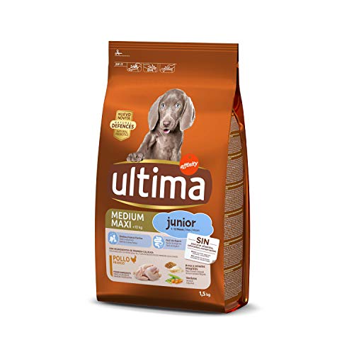 Ultima Pienso para Perros Medium-Maxi Junior con Pollo y Arroz - 1,5 kg