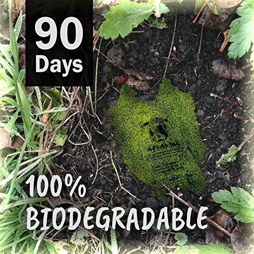 UMI. by Amazon Bolsas para Excrementos de Perro Biodegradables - Origen Vegetal, Compostaje Casero, Sin Microplásticos, Resistentes a Fugas - 13 x 40 cm con Asas, Paquete de 60 con Porta Bolsas