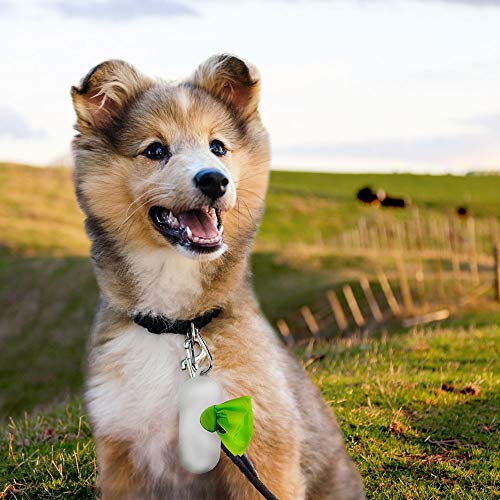 UMI. by Amazon Bolsas para Excrementos de Perro Biodegradables - Origen Vegetal, Compostaje Casero, Sin Microplásticos, Resistentes a Fugas - 13 x 40 cm con Asas, Paquete de 60 con Porta Bolsas
