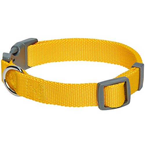 UMI. Essential Classic - Collar para Perros L, Cuello 45-66 cm, Collares Ajustables para Perros (Amarillo)