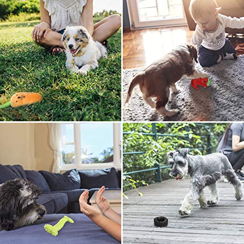 VECELA Juguetes para Perros, 10 Piezas Juguete Masticable para Perros Squeaky Toy Juguetes de Peluche para Cachorros Perro Pequeño Mediano