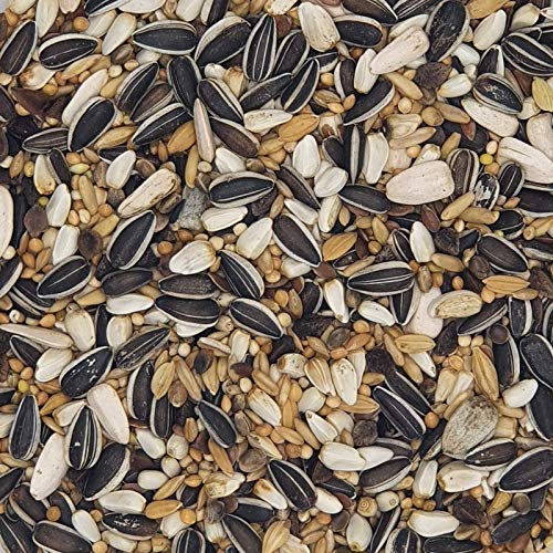 Versele-laga Grandes periquitos Standar, 20kg