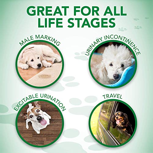 Vet's Best Comfort Fit Disposable Male Dog Diapers | Envolturas masculinas absorbentes con ajuste a prueba de fugas | Pequeño 12Pk