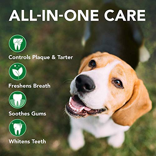 Vet's Best Spray Dental Avanzado Y Bola para Perros - 14Ml