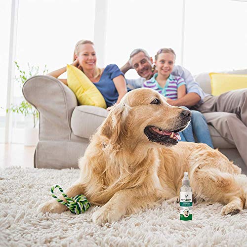 Vet's Best Spray Dental Avanzado Y Bola para Perros - 14Ml