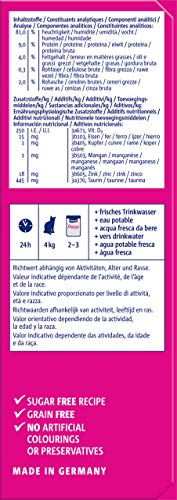 Vitakraft – Juego de Carne y Pescado – Poesía para Gato – 6 x 85 g 1 Unidad